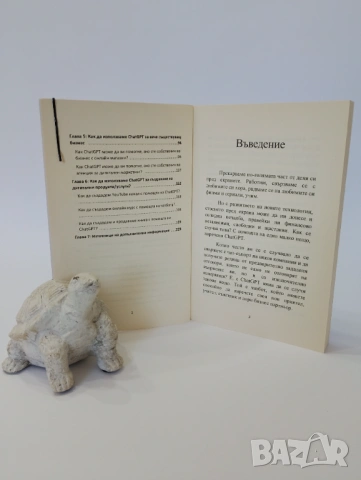 ChatGPT наръчник за 5 цифрени суми, снимка 4 - Специализирана литература - 54437445
