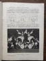 Танцово изкуство. Брой 6/1968 година, снимка 4
