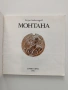 Монтана, снимка 6