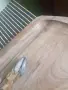 Уникален ловен нож с дръжка от сърнешки крак, снимка 5