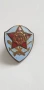 Значка,Нагръден знак НССТ, снимка 5