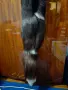 Яка от л. сица. , снимка 6