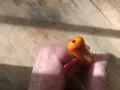 Старо кехлибарено цигаре лула мунщук кехлибар, снимка 4