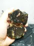 Продавам ахати на добра цена, снимка 10