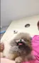 мини момченце❤🥰, снимка 3