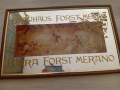 Оригинално рекламно огледало за Birra Forst Merano.t , снимка 2
