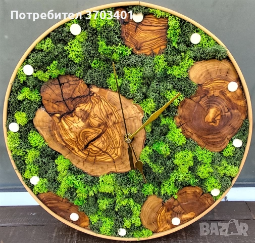 Часовник от маслина и естествен скандинавски мъх