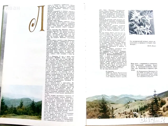 Фотоалбум " Шелковый цветок "  - 1973г., снимка 5 - Изкуство, музика, кино и фотография - 55602587