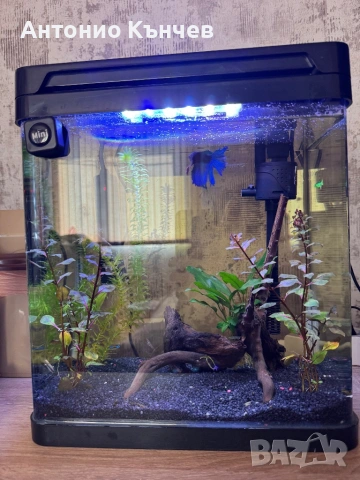 Напълно оборудван аквариум 