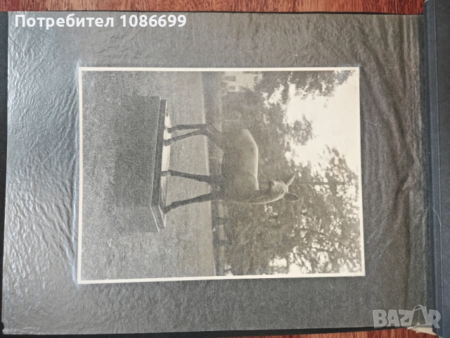 Албум Скулптурната украса на София Ив. Иванов, снимка 2 - Колекции - 54188696