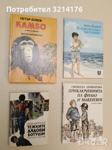 Тежките дядови ботуши - Борислав Бойчев (1970, Отлично състояние)
