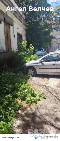 Услуги косене почистване на парцели от трева и храсти, снимка 8 - Други почистващи услуги - 55108747