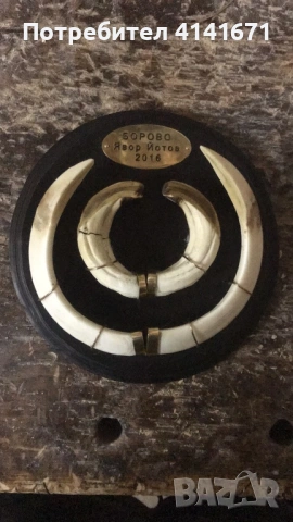 Поставки за ловни трофеи, снимка 13 - Оборудване и аксесоари за оръжия - 54237967