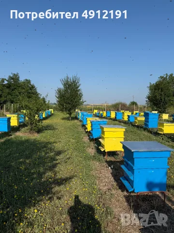 Пчелен мед букет-реколта 2026, снимка 8 - Пчелни продукти - 55695159