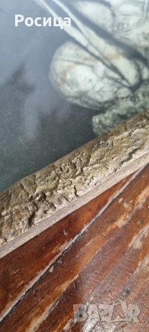 Картина с дама , снимка 4 - Картини - 53975058