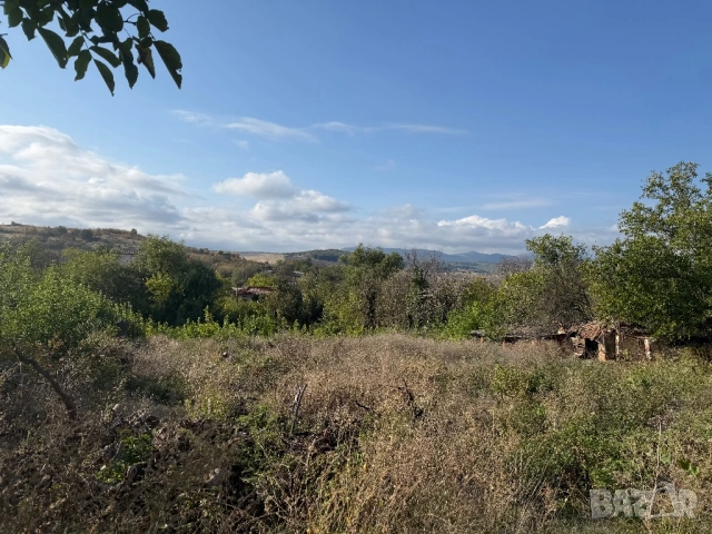 Двуетажна къща с двор 2532 кв. метра двор, снимка 2 - Къщи - 54235281