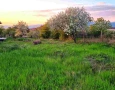 Продава основно реновирана къща с.Ресилово, снимка 5