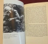The Scars of War, снимка 7