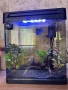 Напълно оборудван аквариум , снимка 1