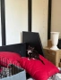 МЪЖКО КОТЕНЦЕ Търси дом, снимка 9