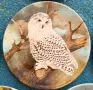 Декоративни порцеланови чинии Coalport, снимка 6