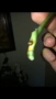 Резник monstera Obliqua Peru , снимка 3
