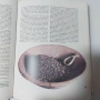 История на България (Томове 1-5) - Като нови!  Том 1 2 3 4 5 Уникална колекция, снимка 4