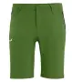 Мъжки къси панталони Salewa Puez Talveno Durastretch Shorts Men – Green Размер M, цена: 73 €, снимка 1