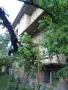 Триетажна тухлена къща с двор в град Каспичан -170 000 евро, снимка 3