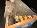 Продавам рояци и отводки , снимка 1