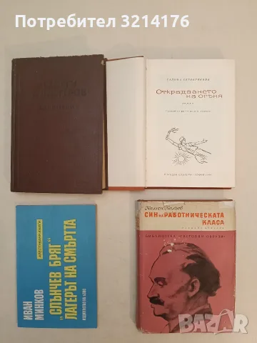 Открадването на огъня - Галина Серебрякова, снимка 2 - Специализирана литература - 55509605