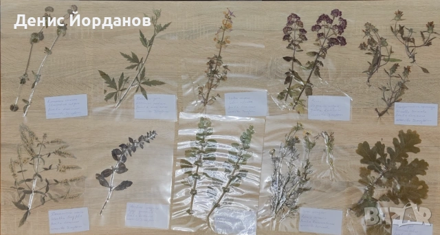 Продавам ламиниран хербарий , снимка 8 - Други - 54919513