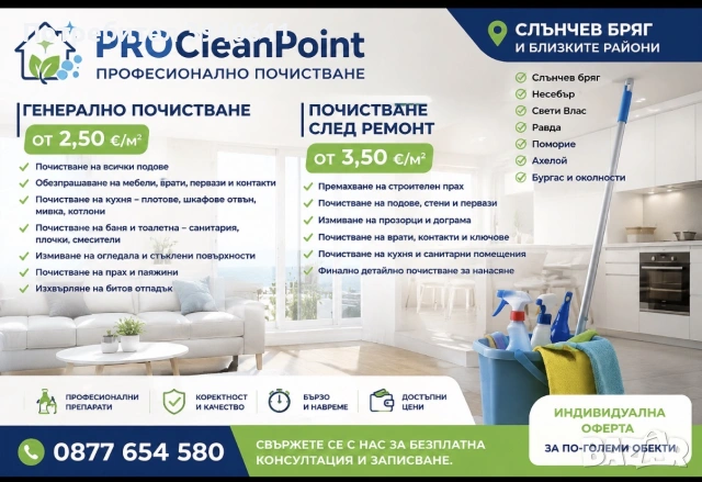 Профессионально почистване