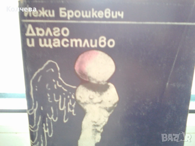 продавам антикварен учебник по италиански и др. стари книги, снимка 2 - Антикварни и старинни предмети - 28647608
