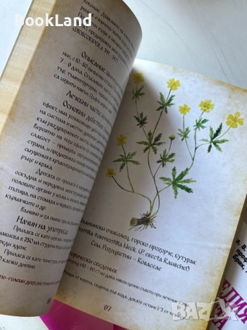 История за билките от времето на траките , снимка 2 - Други - 55190475