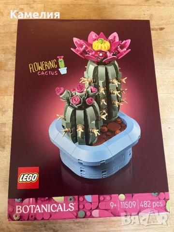 Конструктор LEGO Botanicals - Цъфтящ кактус