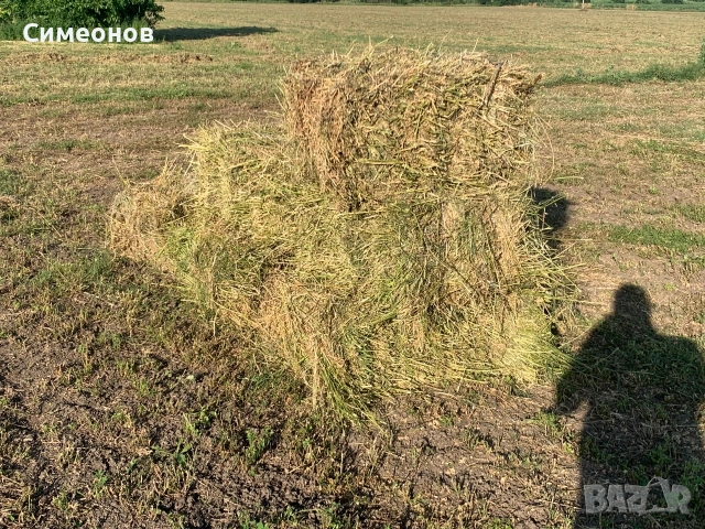 Бали люцерна, снимка 4 - За селскостопански - 54979984