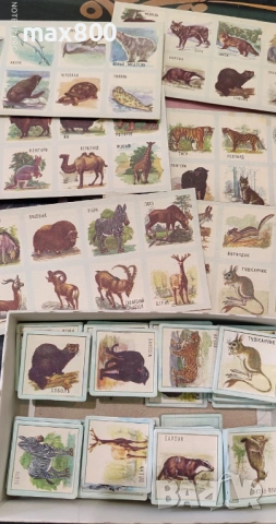 Стари руски децки игри., снимка 5 - Други - 54042867