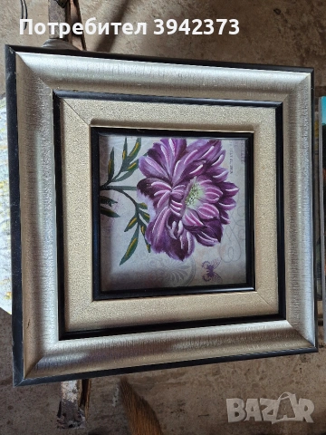 Картини 2 бр, снимка 2 - Картини - 50447918