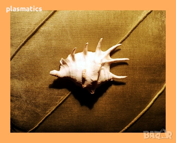 ключодържател кукличка / морска раковина, снимка 7 - Кукли - 46914612