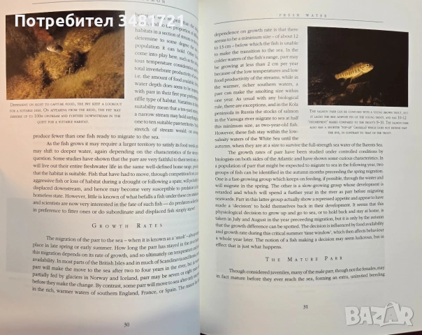 Атлантическата сьомга - илюстриран справочник / Atlantic Salmon. An Illustrated History, снимка 7 - Енциклопедии, справочници - 54956938
