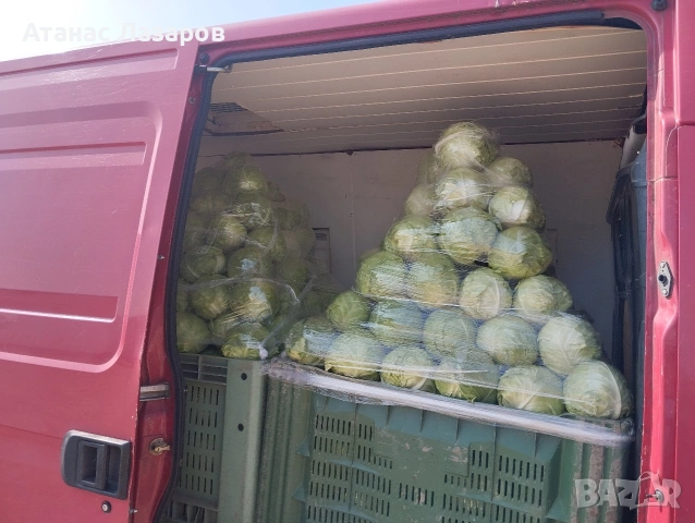 Продавам Ранно Зеле., снимка 7 - Домашни продукти - 54527656