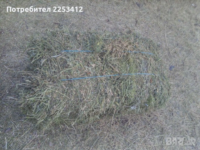 Продавам бали люцерна 