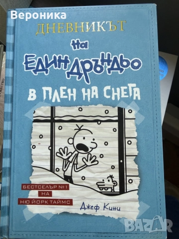 Дневникът на един Дръндьо в плен на снега