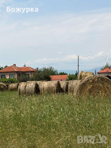 Продавам бали сено, снимка 2 - За селскостопански - 55136943