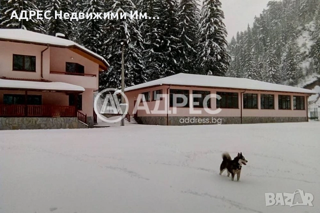 Продава, къща/вила, с.Борино, обл.Смолян, снимка 11 - Къщи - 54930609