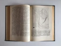 Геосинклинали и складчатые области — И. Н. Казаков (1978), руски език, снимка 7