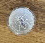 Australian funnel web spider 1oz, снимка 1