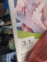 Продавам басейн, снимка 2