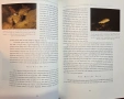 Атлантическата сьомга - илюстриран справочник / Atlantic Salmon. An Illustrated History, снимка 7